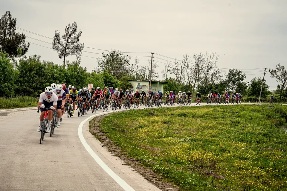 Duża grupa rowerzystów na zakręcie wiejskiej drogi