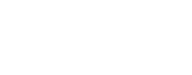 TINA Skup Aut